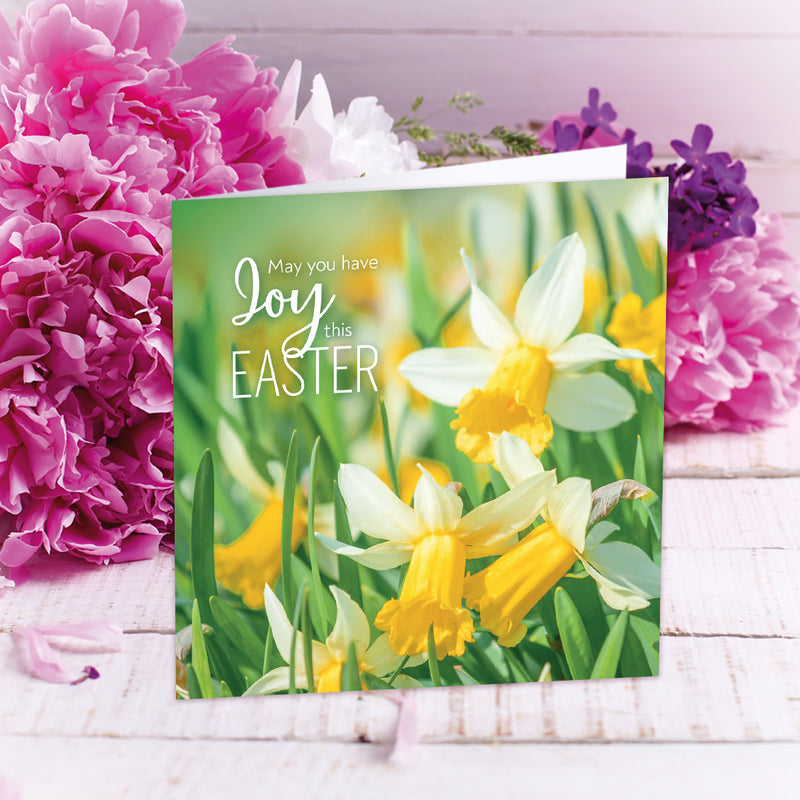 Compassion Charity Easter Cards: Joy/Daffodils (5 pack)