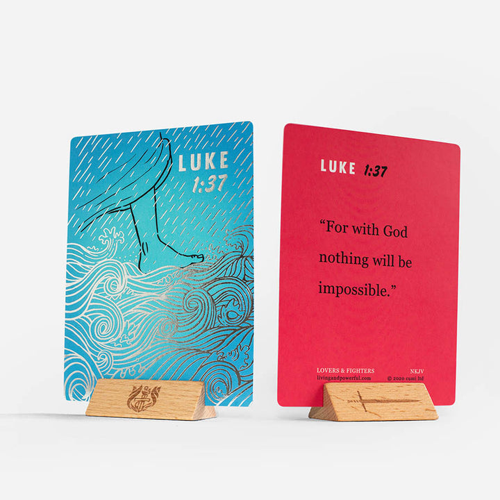 Lovers and Fighters Illustrated Bible Cards