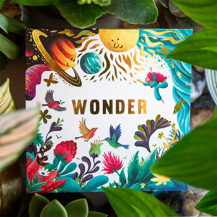 Wonder Box NKJV