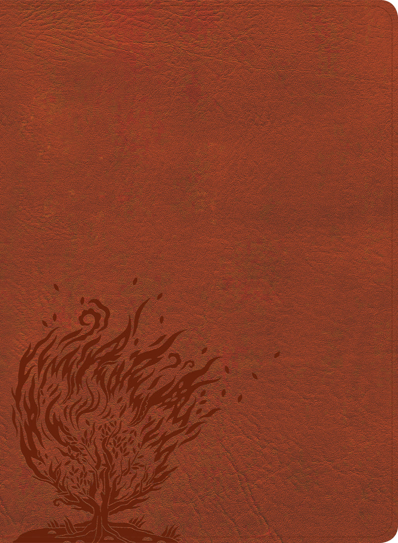 CSB Experiencing God Bible, Burnt Sienna LeatherTouch