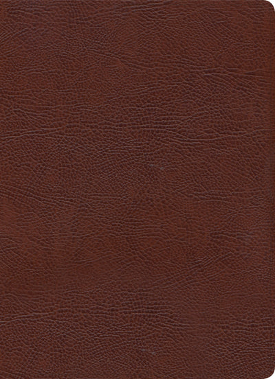 KJV Study Bible, Full-Color, Brown Bonded Leather - Re-vived