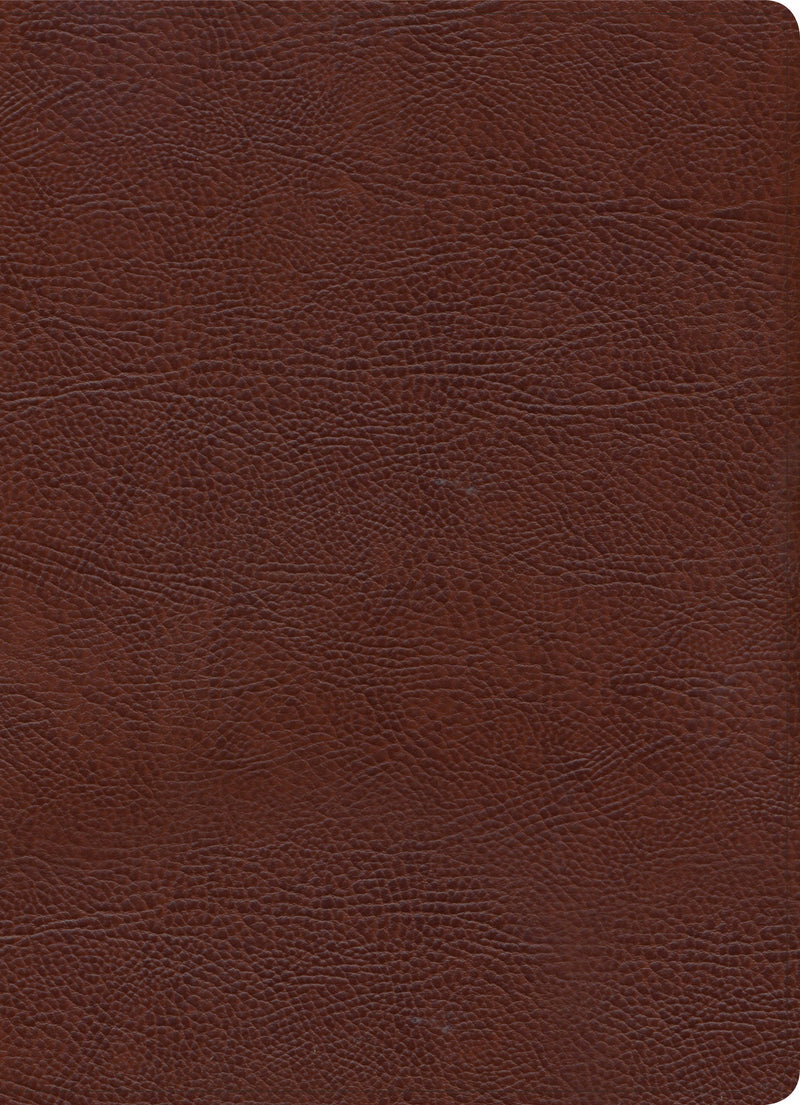 KJV Study Bible, Full-Color, Brown Bonded Leather - Re-vived