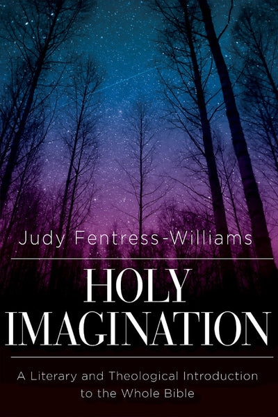 Holy Imagination - Re-vived