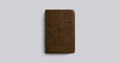 ESV Value Compact Bible, Trutone, Brown