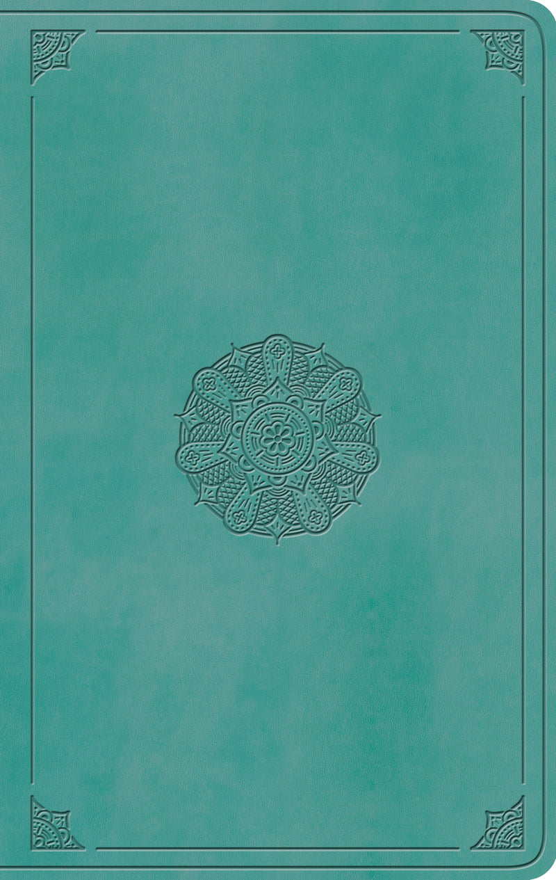 ESV Large Print Value Thinline Bible TruTone, Turquoise - Re-vived