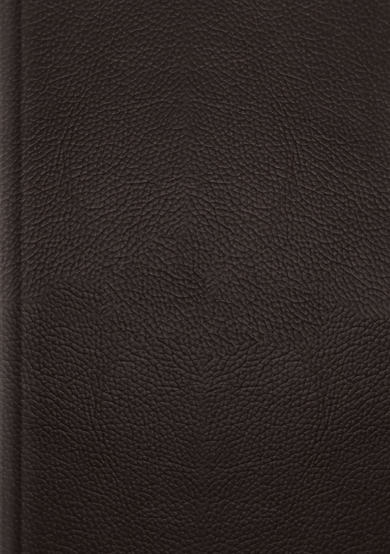 ESV Single Column Journaling Bible, Large Print - Re-vived