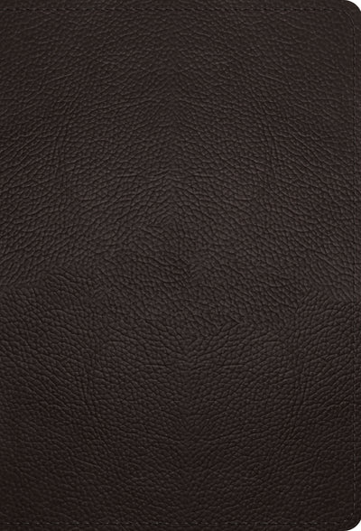 ESV Large Print Compact Bible (Buffalo Leather, Deep Brown) - Re-vived