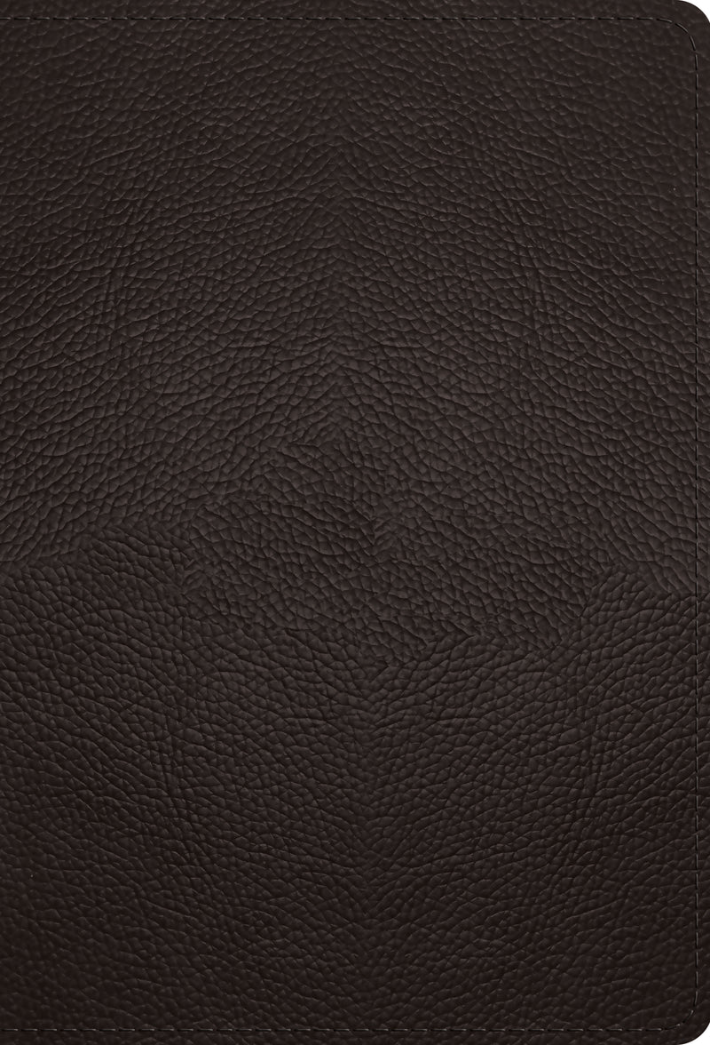 ESV Large Print Compact Bible (Buffalo Leather, Deep Brown) - Re-vived