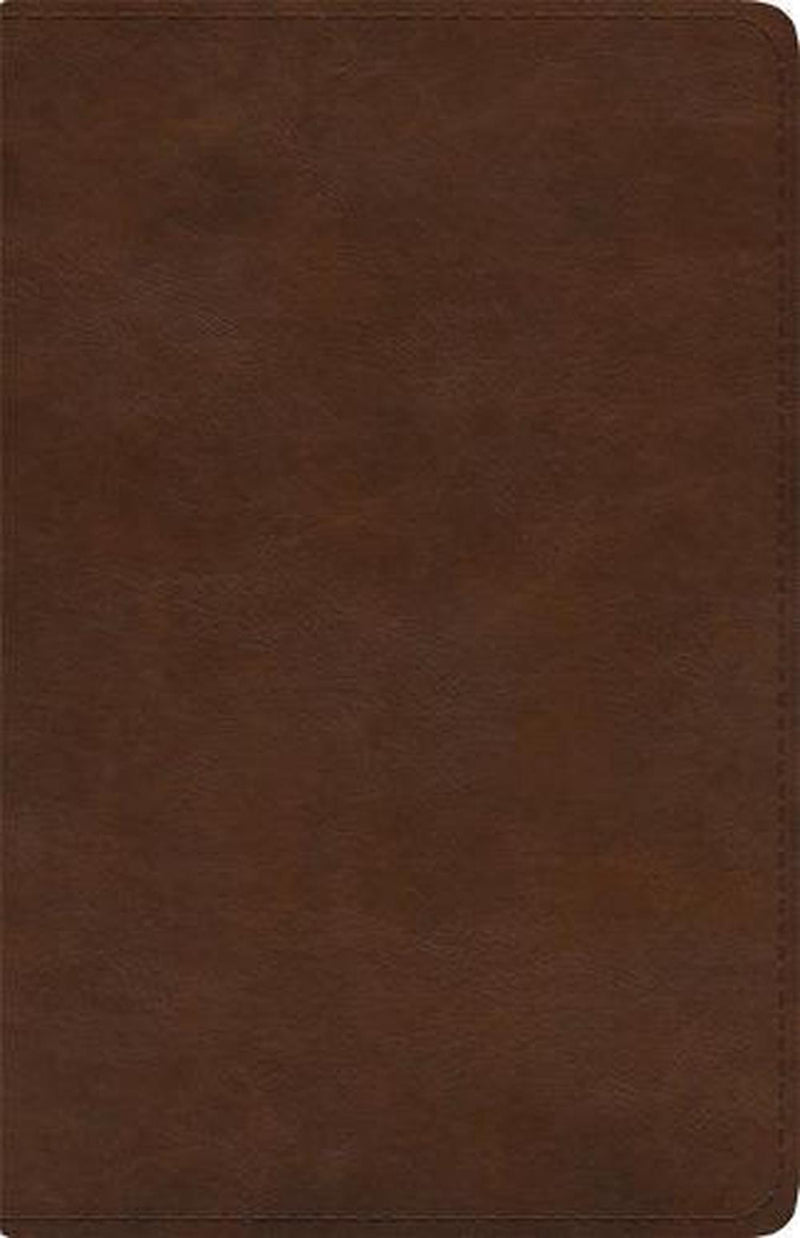 ESV Spanish/English Parallel Bible Imitation Leather