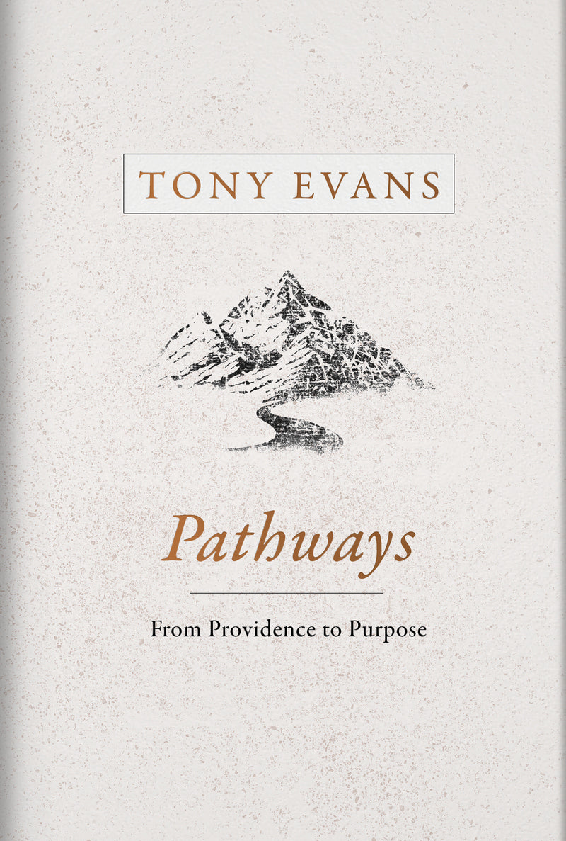 Pathways - Re-vived