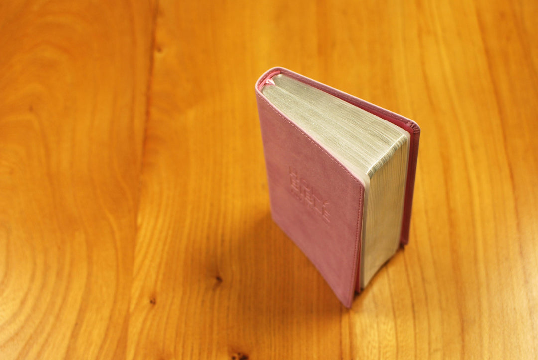 NIV Pocket Pastel Pink Soft-Tone Bible - Re-vived