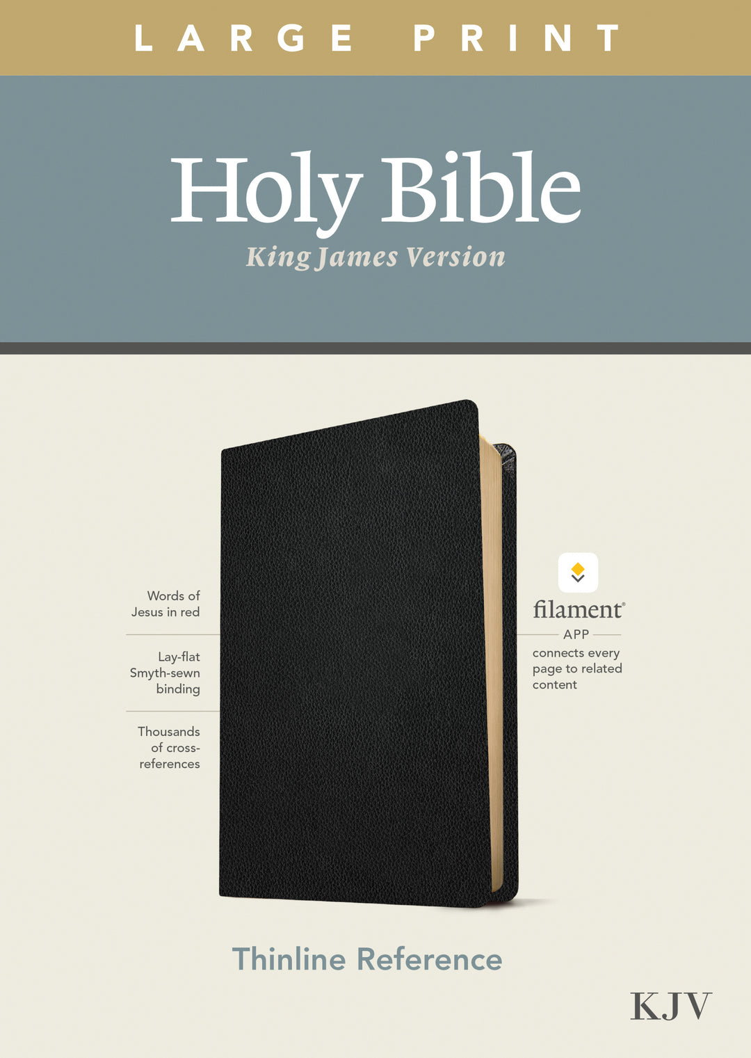 KJV Large Print Thinline Reference Bible, Filament Edition - Re-vived