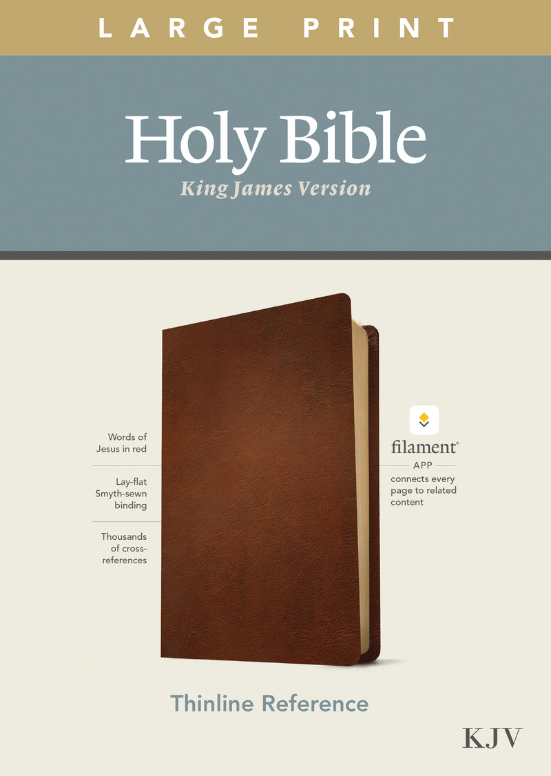 KJV Large Print Thinline Reference Bible, Filament Edition - Re-vived