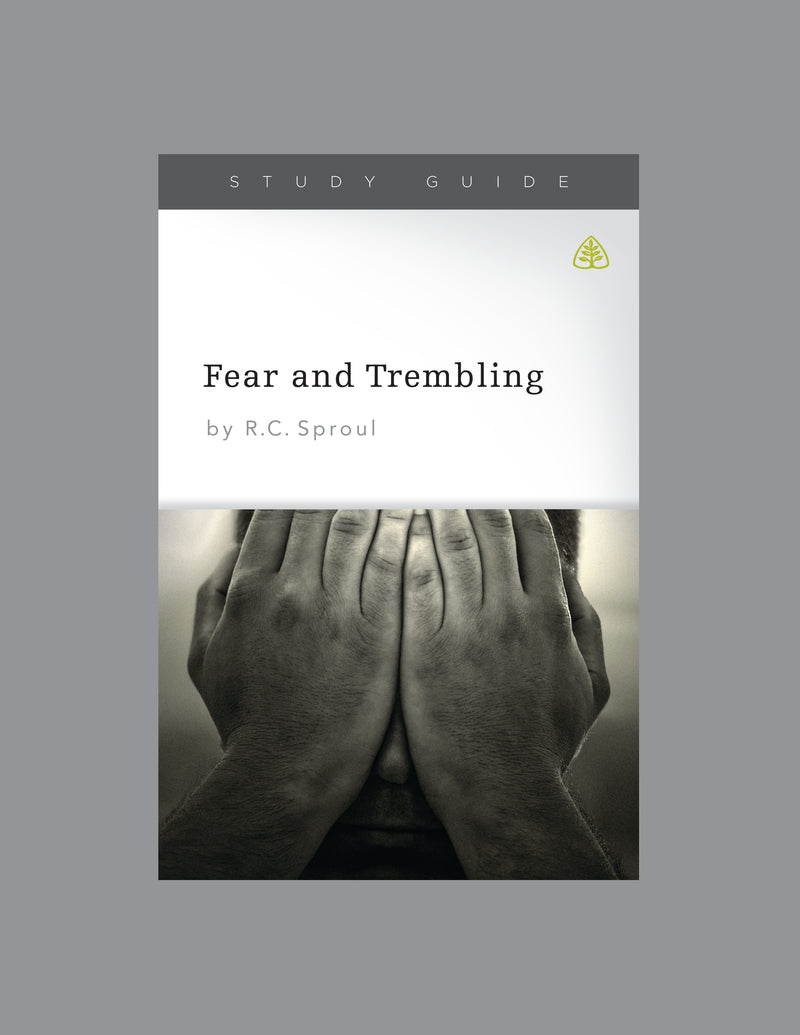 Fear And Trembling Study Guide