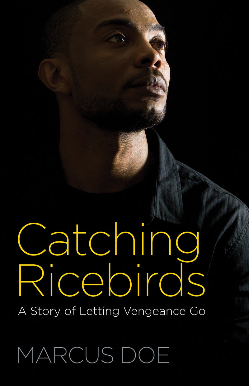 Catching Ricebirds Paperback