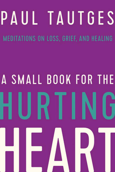 A Small Book for the Hurting Heart - Re-vived