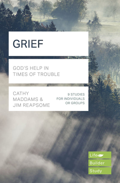 LifeBuilder: Grief - Re-vived