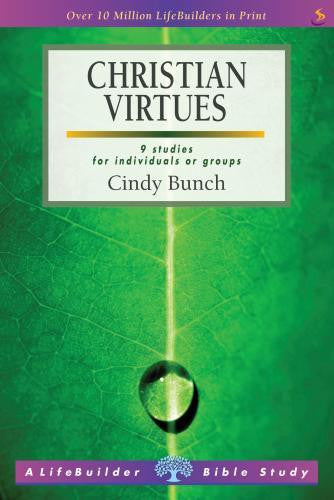 Lifebuilder: Christian Virtues - Re-vived