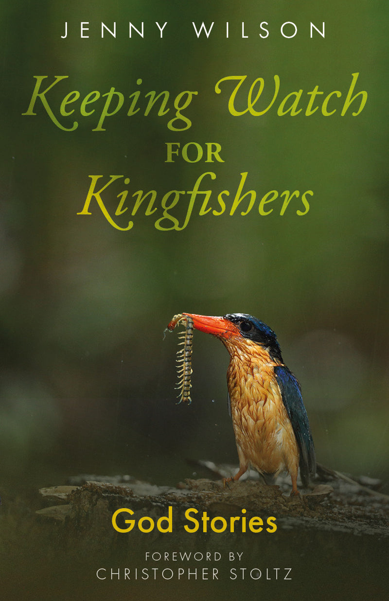 Keeping Watch for Kingfishers - Re-vived